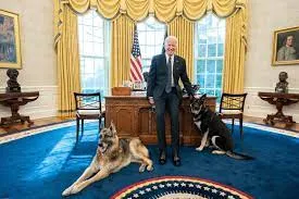 The Growing AI Threat & Call for Safeguards by President Joe Biden to White House
