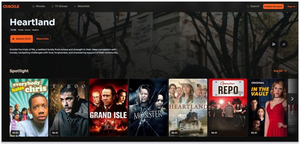 A laptop screen showing the Google drive file naming feature
