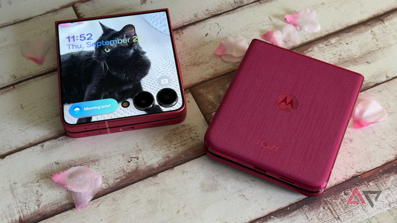 Google Pixel 9a next to a Google Pixel 7a with Pusheen looking on