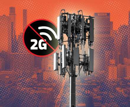 Samsung Galaxy S24 FE placed against some pink flowers