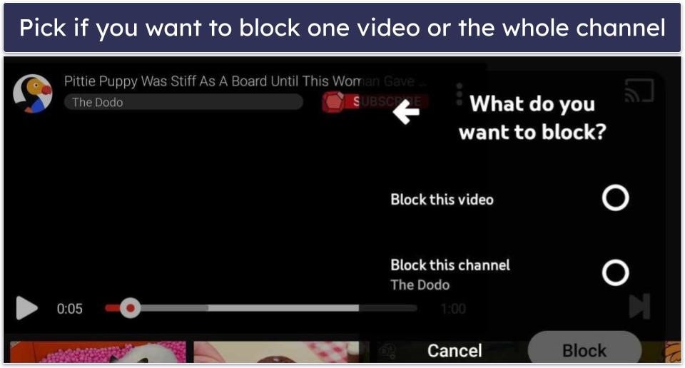 How to Install a VPN on Fire TV Stick (Step-By-Step Guides)